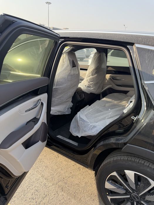 Byd champion smart drive 2025-26 model