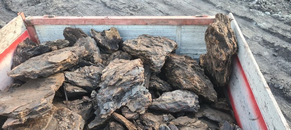 Deseuri fag .lemn foc .cărbune lignit