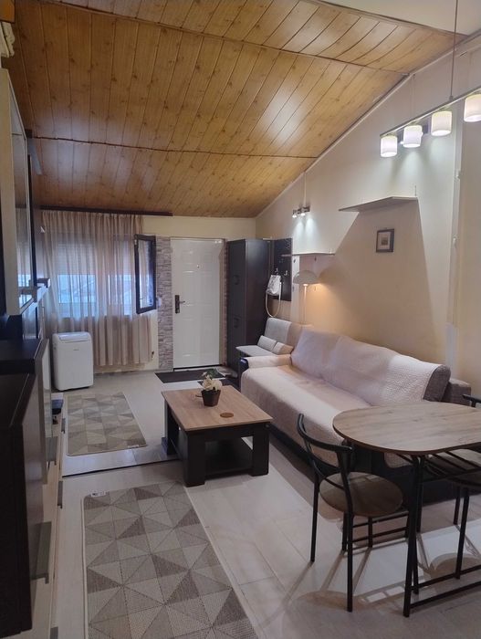 Apartament/ Studio de închiriat