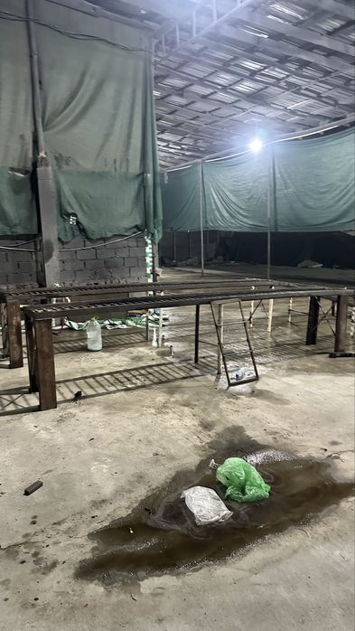 Estikada moykaga moshina chiqadigan