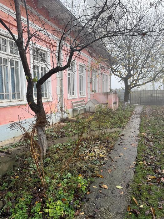 Apartamente.   casa de închiriat la întrare in Copou , lângă