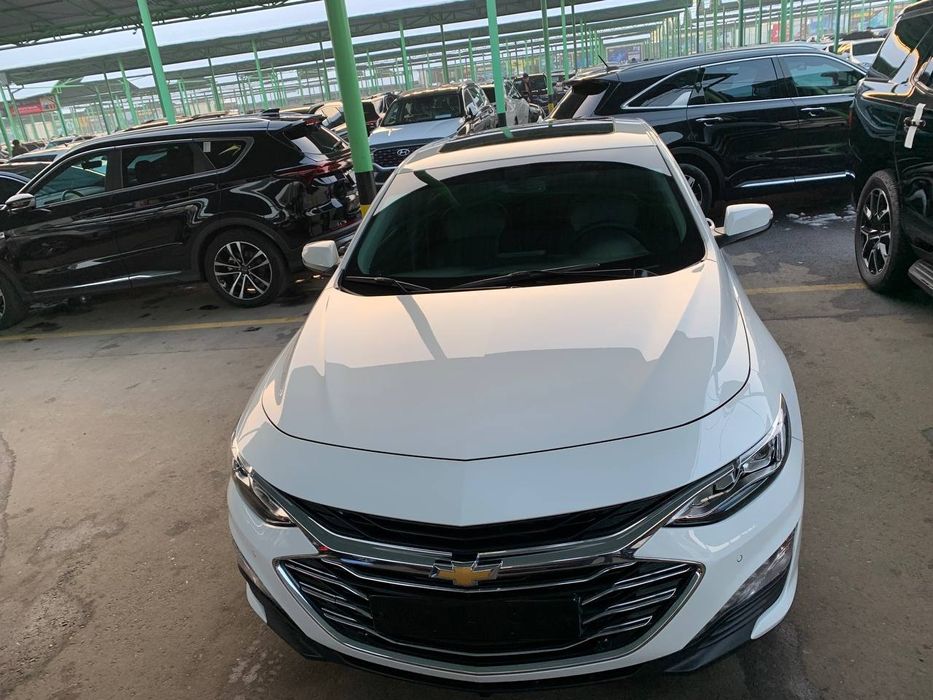 Malibu 2  Kraskasi toza  100% srochna