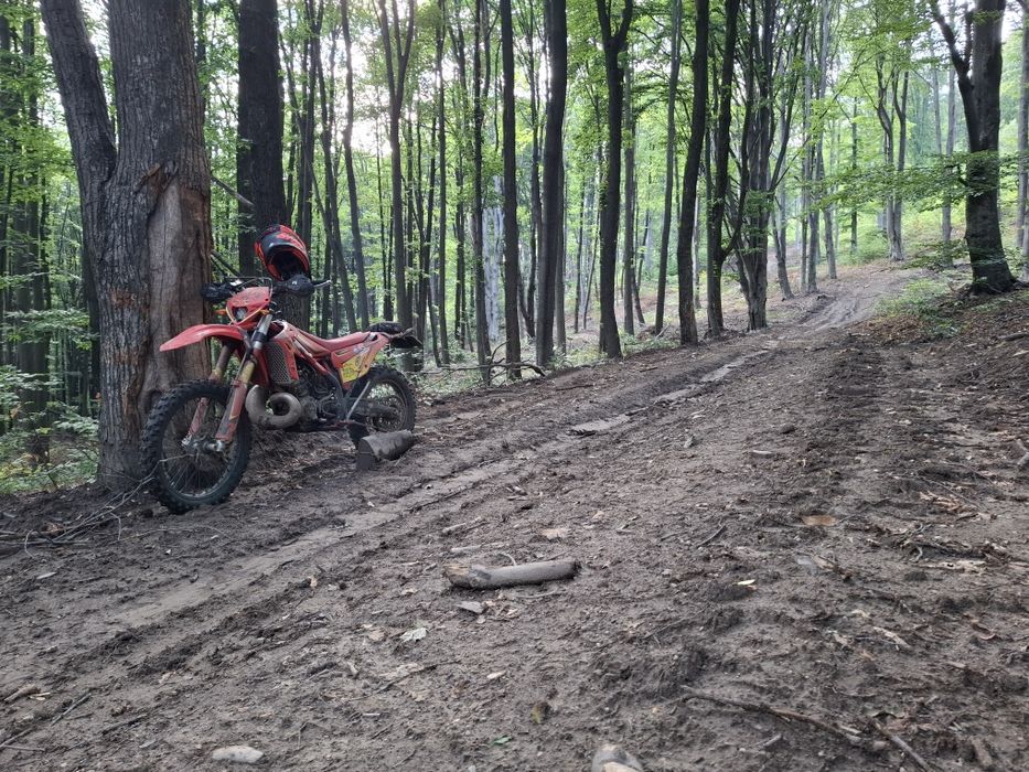 Beta x-trainer 2018 inmatriculat