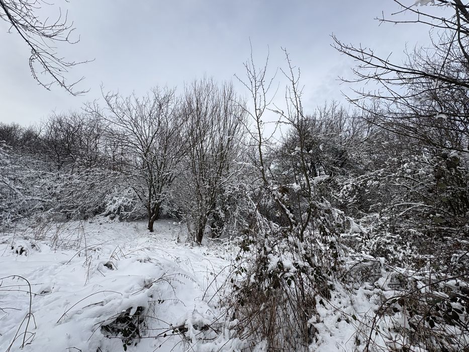 Незастроен парцел в с.Габра