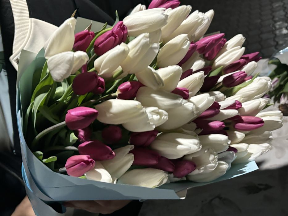 Тюльпаны на 8 марта