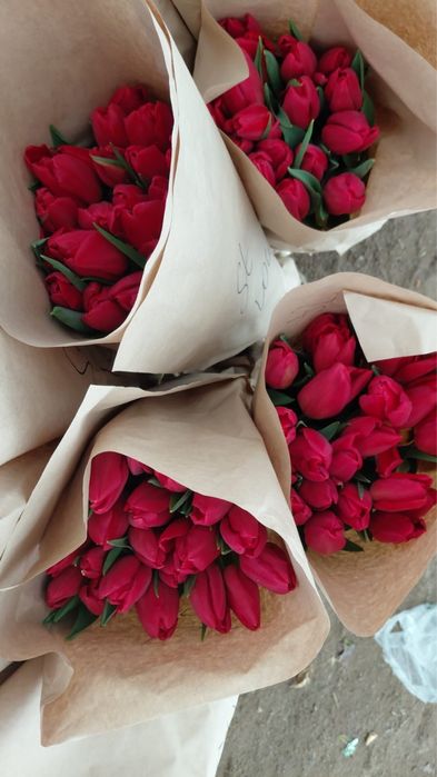 Тюльпаны есть в наличий