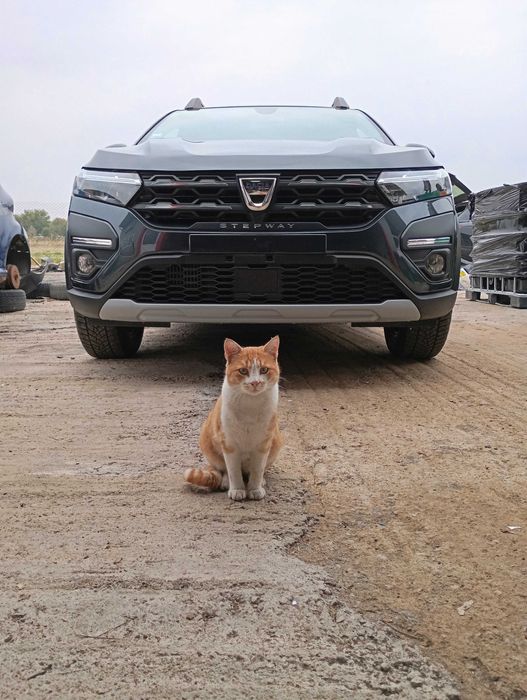 Dacia Sandero Stepway