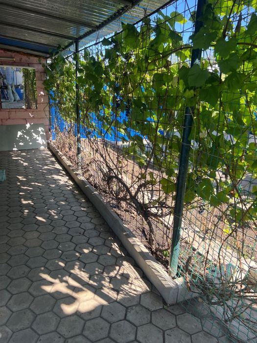 ПРОДАМ ДАЧУ. Садовое общество «Дорожник»