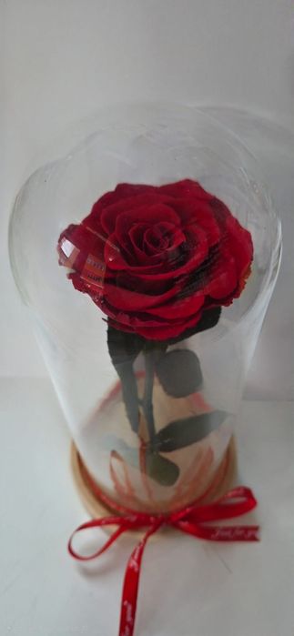 Trandafir criogenat!