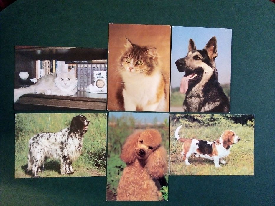 За колекционери! Отлично запазени руски поздравителни картички!