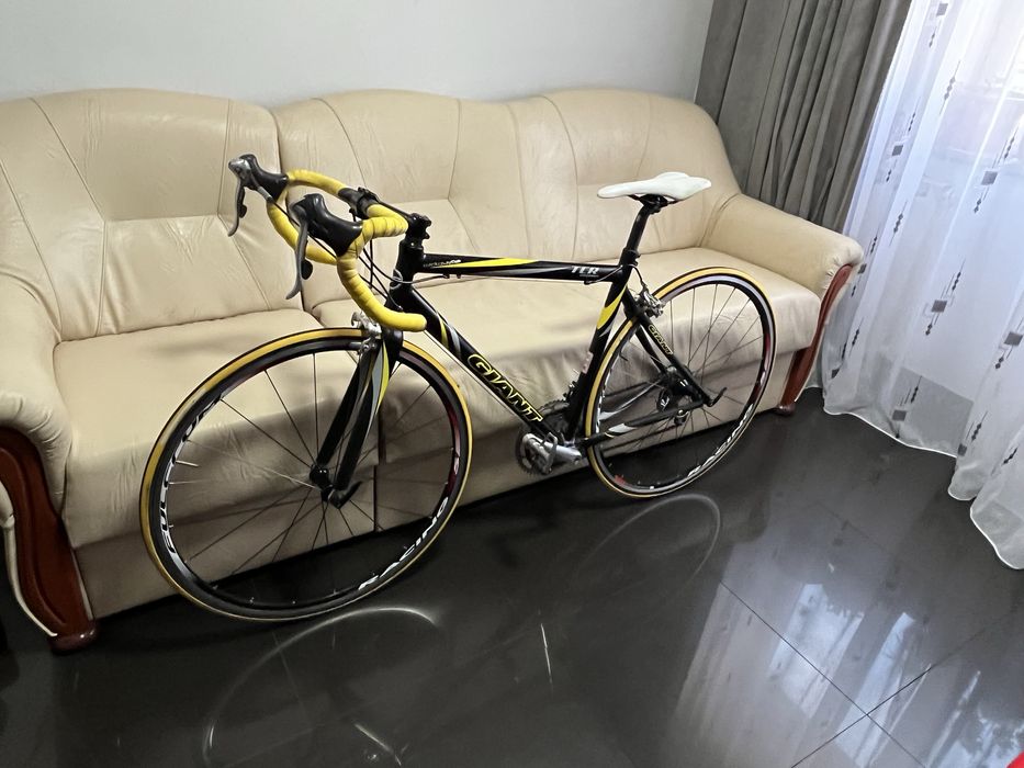Cursiera Giant TCR hybrid