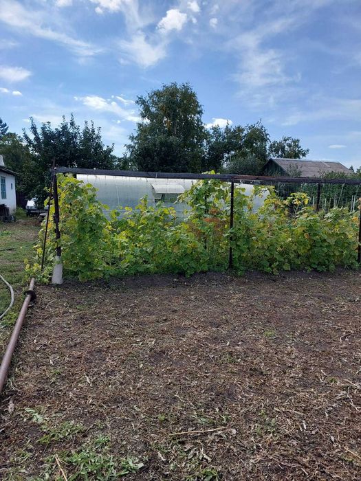 Продаётся дача, Федоровка