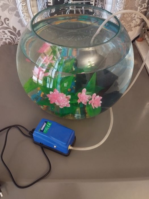 Аквариум круглый 10 литр