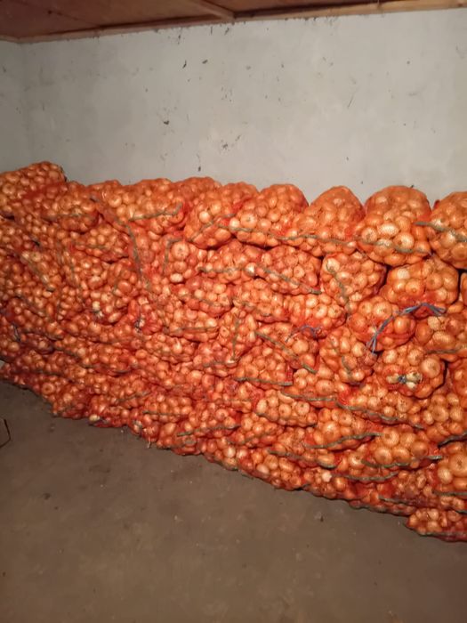 Ceapa plata de vanzare