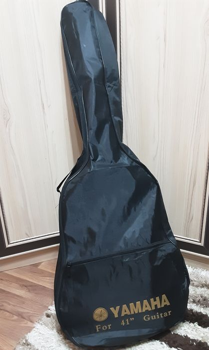 Гитара, чёрная с чихлом