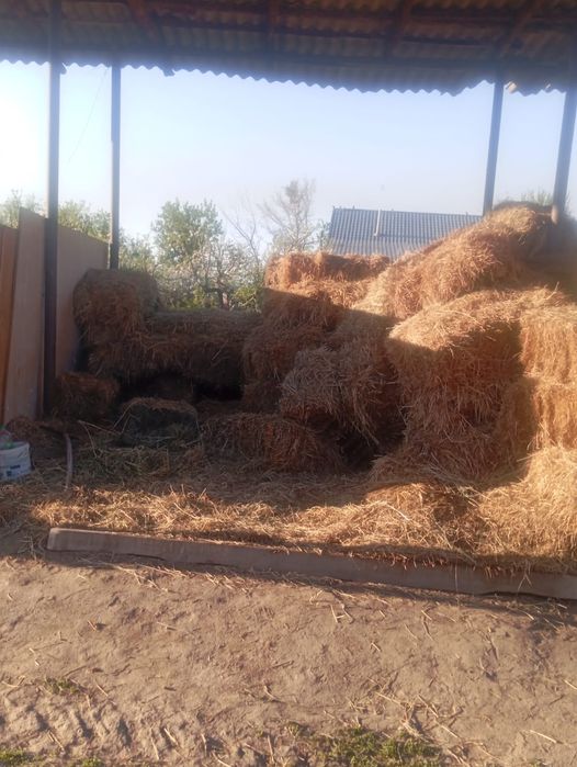 Продам тюки сена