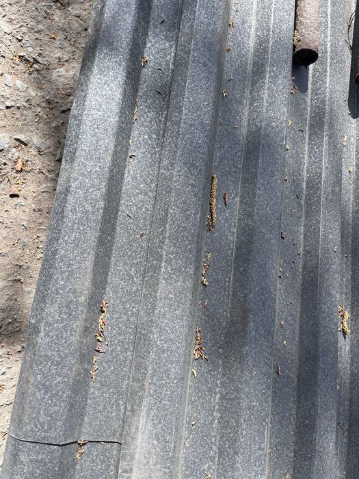 Продам провлесты