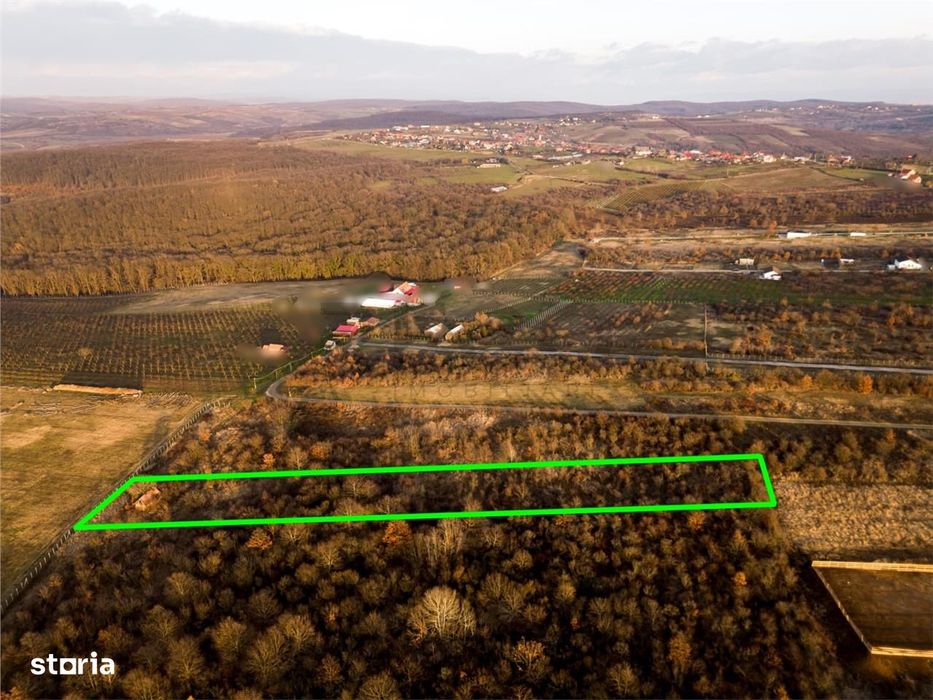 Reco Teren intravilan in Saldabagiu de munte 4333MP