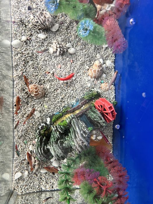 Аквариум с рыбками