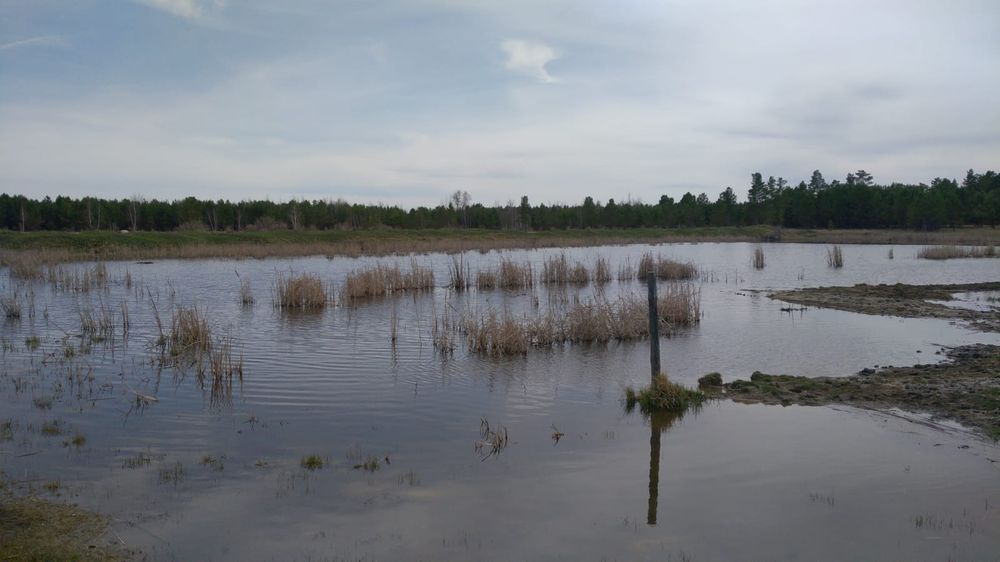 Продам пионерский лагерь