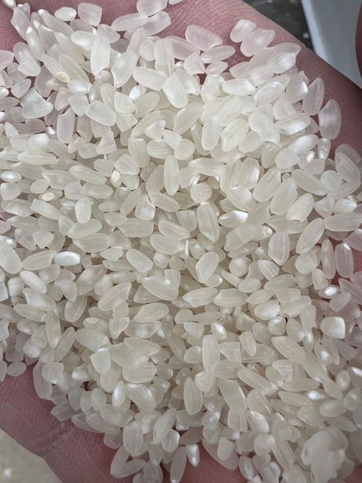 Сорт  «ЛИДЕР” Высокого Качества