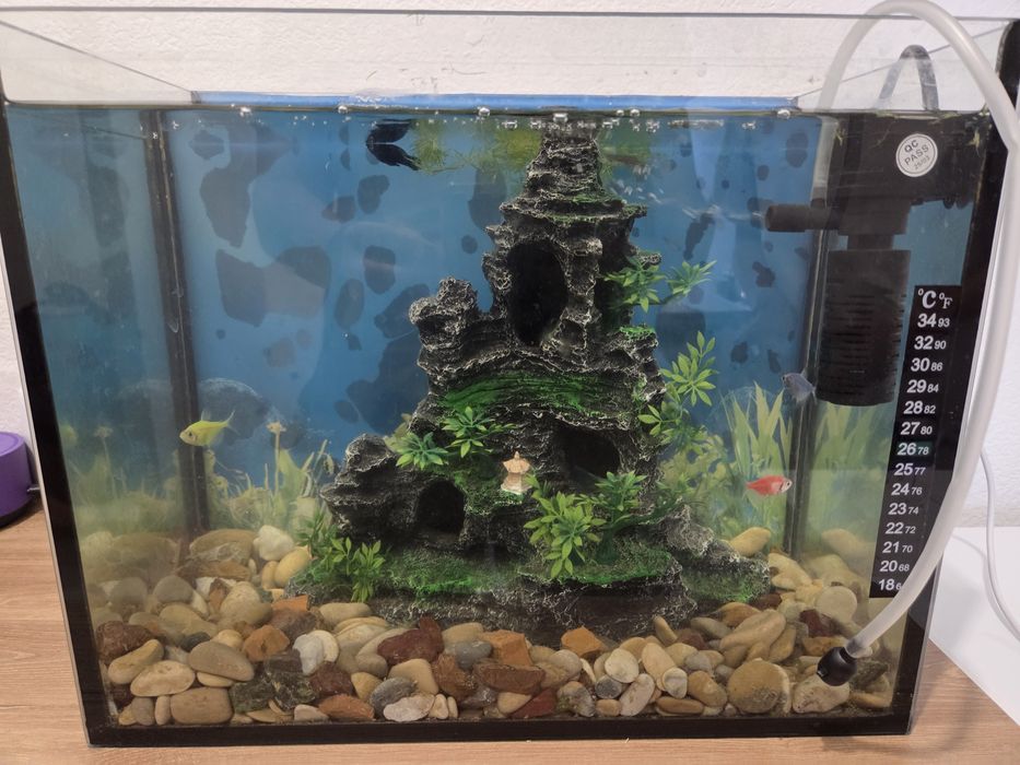 Продается аквариум с рыбками