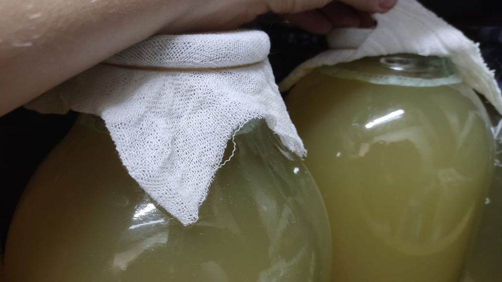 Домашний яблочный уксус