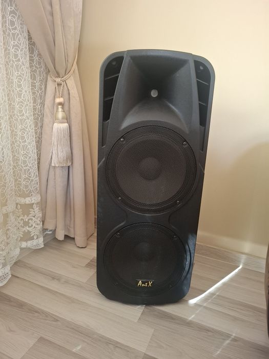 Караоке двойна тонколона PS212H AntX