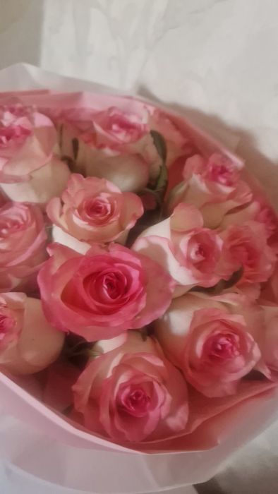 Цветы домашних Цветы