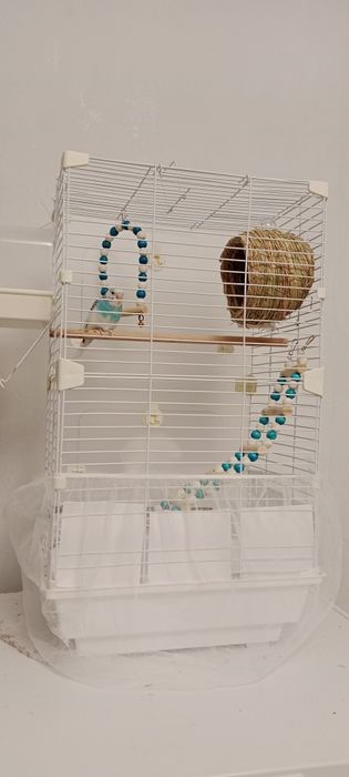 Клетка с попугаем