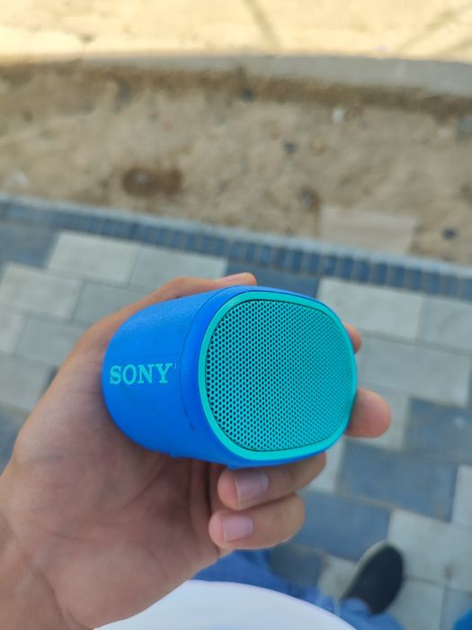 Sony org (kichik/bass)