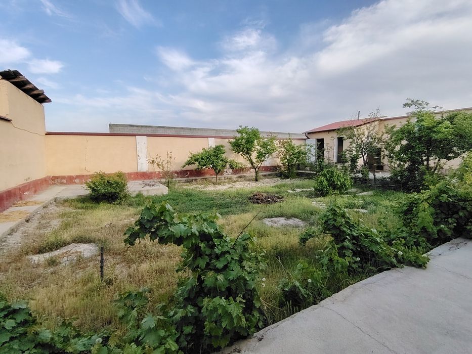 Katej sotiladi 6 sotixli