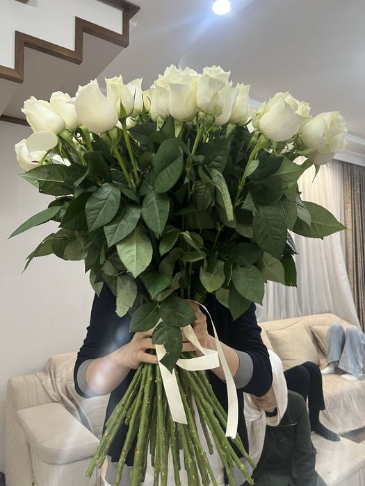 51голландская роза