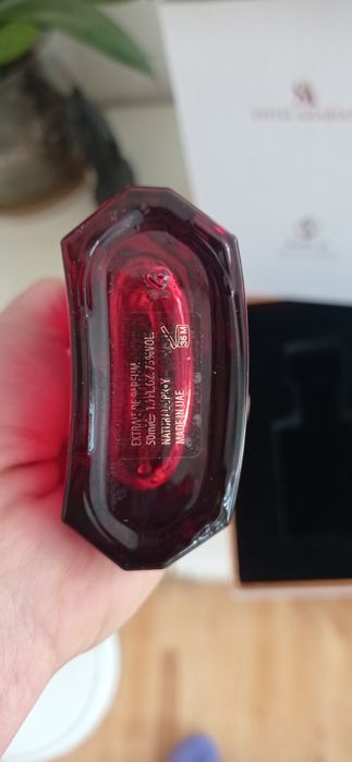 Swiss Arabia rose 01