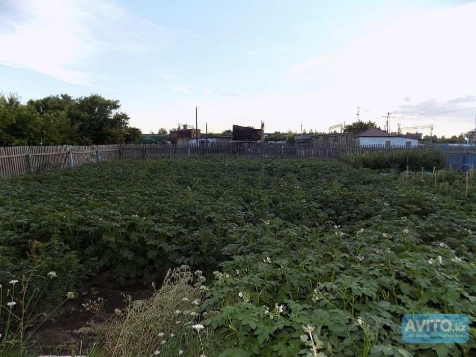 Продам Дом в п. Шортанды