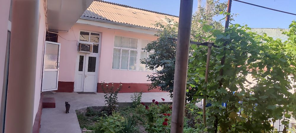 Qorasu 6 da hovli betonka Amur-temur m. Yetmasdan
Mahala