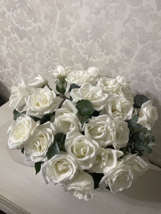 Продам цветы 21 штук