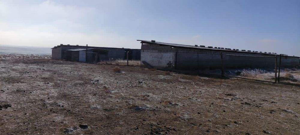 Қора сатылады фазенда