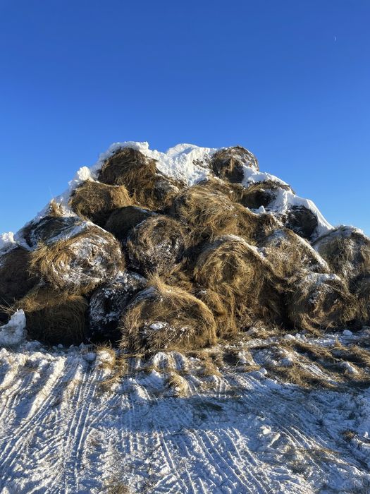 Продам сено, доставка , круглосуточно