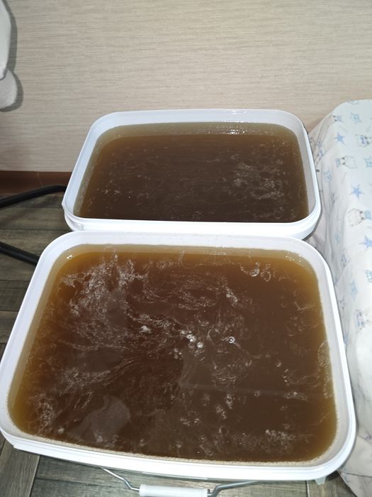 Продам Мёд! Своя пасека !