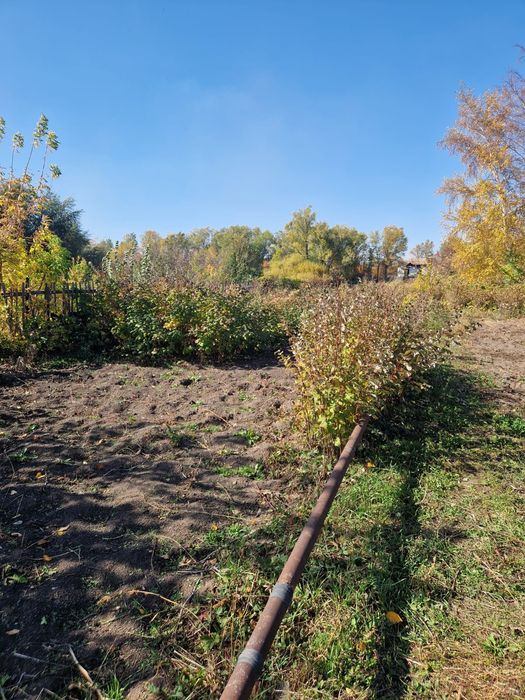 Продаю дачу Черёмушки