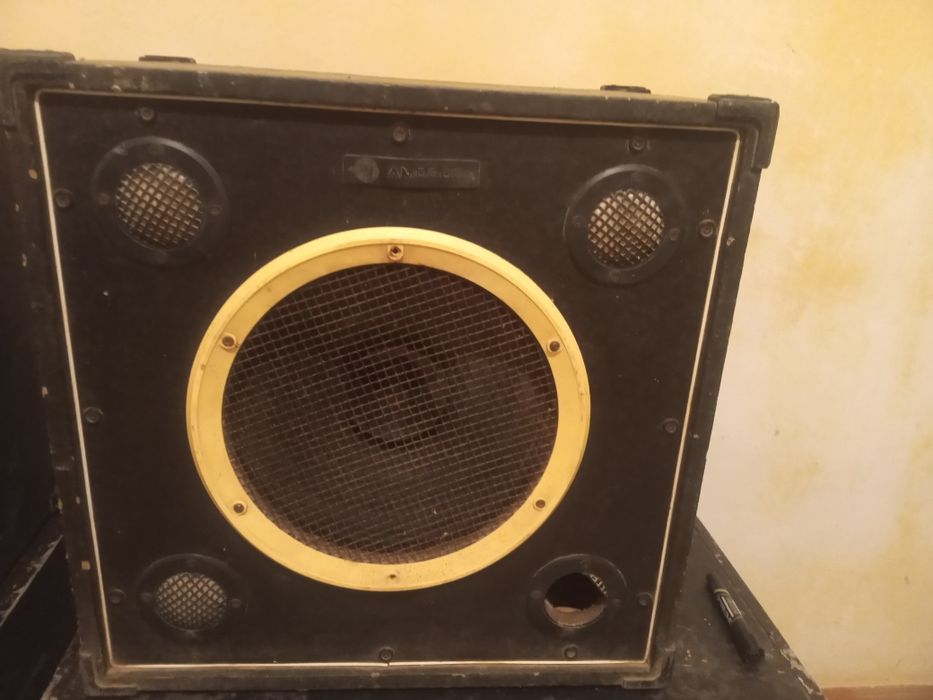 Динамики 100ват широко полосный 12 дюймовый