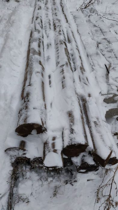 Деревянные опоры с пасынком