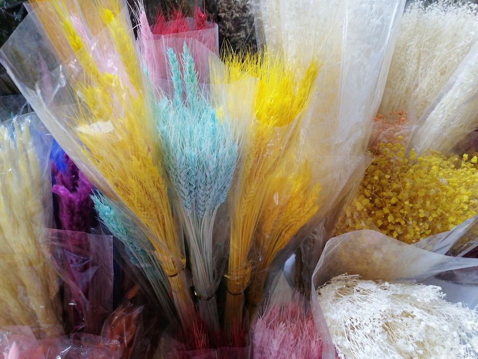 Сухоцветы / Гипсофилы букет