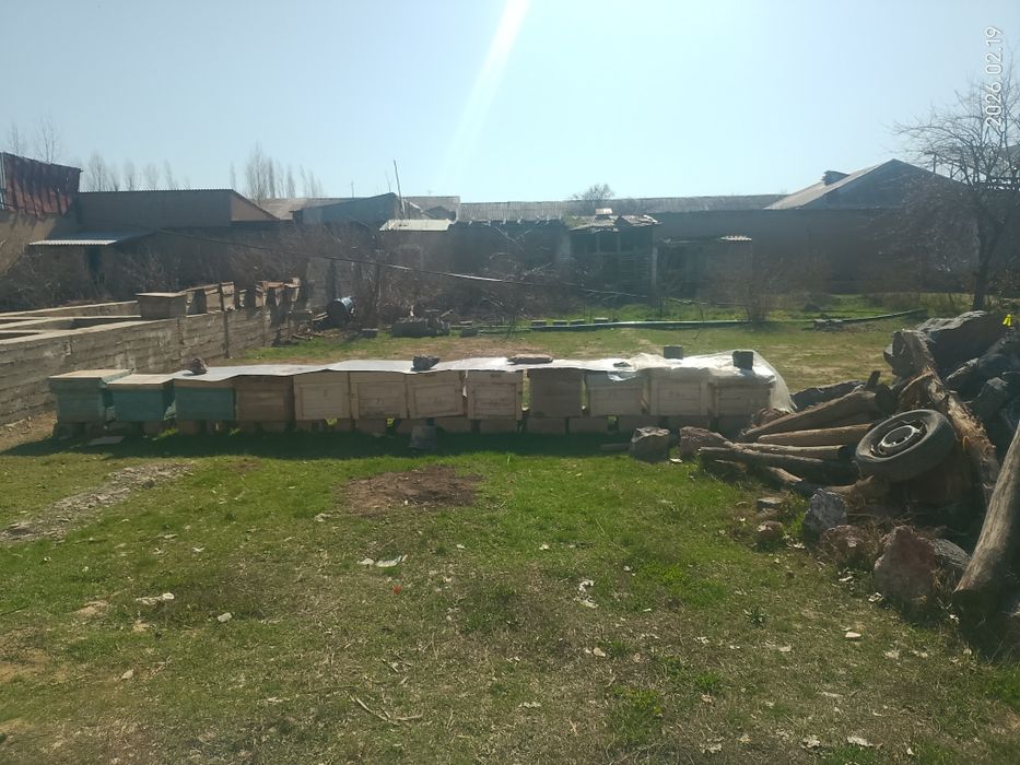 Qaxramon mahallasida yer uchastka  bogʻi bilan sotiladi.