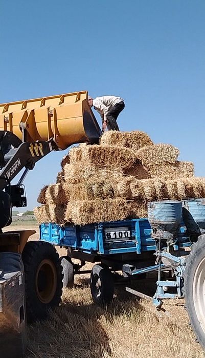 Pres sotiladi Somon, Tariq, Beda, Makka.