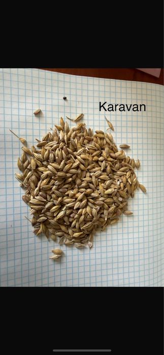 Реализуем корма доя животных