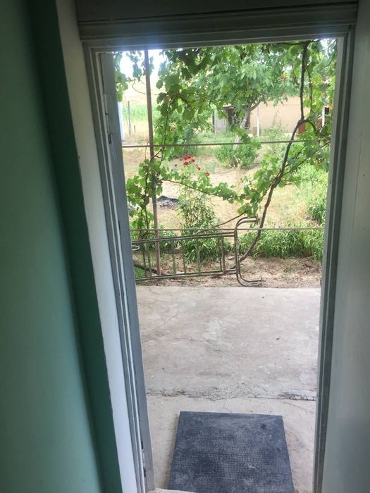 Dacha sotiladi o'rta saroyda