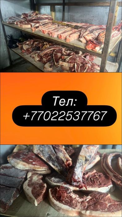 Продам мясо конины целиком 1/4 часть пол туши