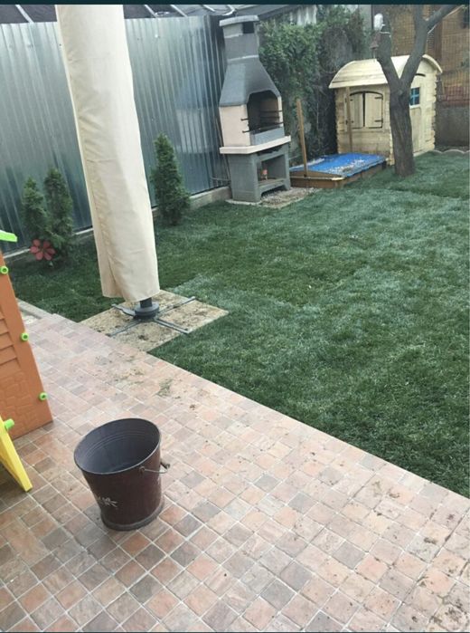 Gazon Rulou Premium Calitate Extra